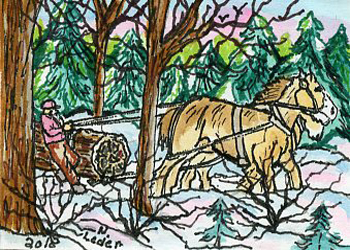 Big Pine Nancy Leder Gleason WI watercolor, pen & ink  SOLD